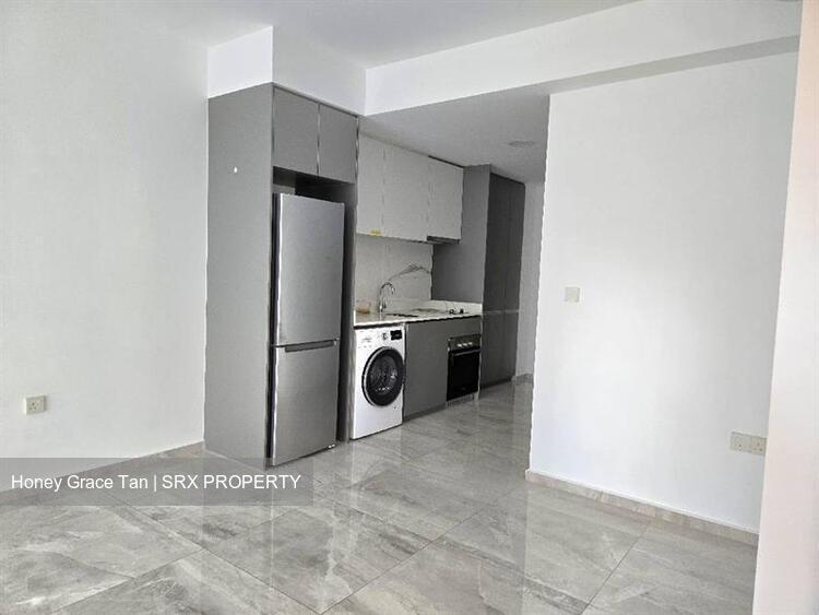 Affinity At Serangoon (D19), Apartment #520084341